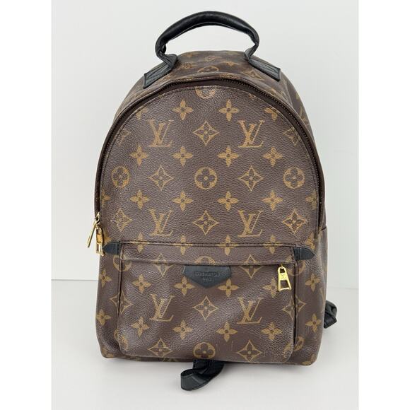 Louis Vuitton Palm Springs Backpack Monogram Canvas MM - Picture 2 of 16